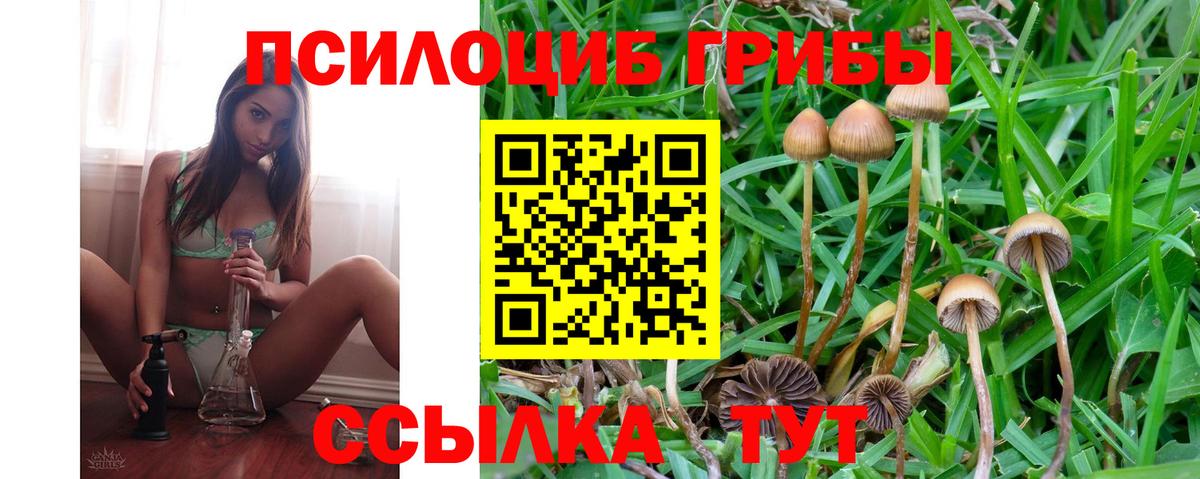 Галлюциногенные грибы MAGIC MUSHROOMS  Вход с VPN  Псилоцибиновые грибы мухоморы  Каспийск 